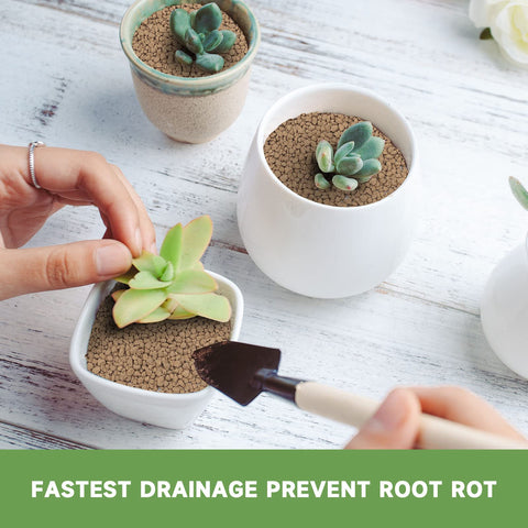 NOHOBE fast drainage promotes even moisture distribution.
