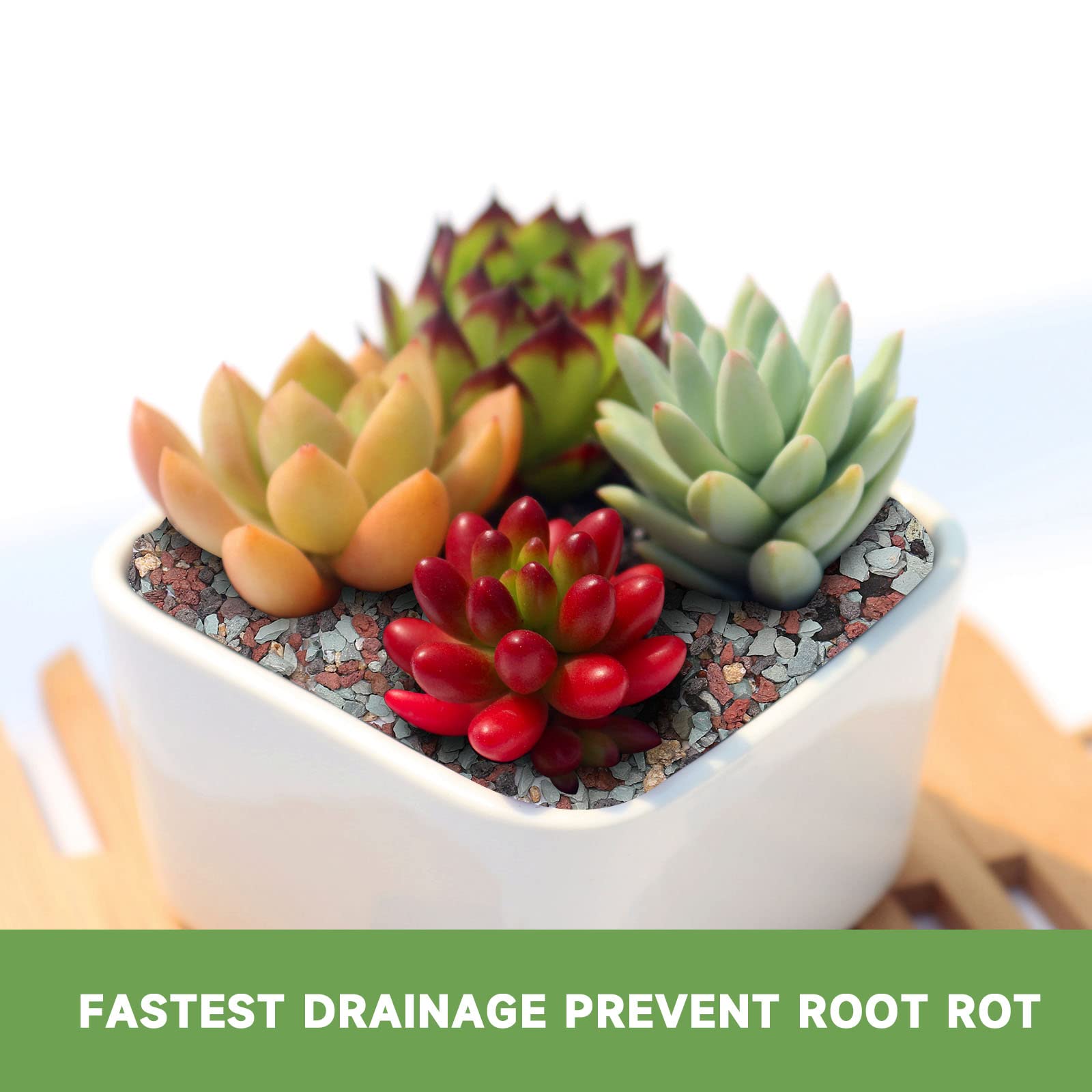 NOHOBE green zeolite crystals boost mineral balance for thriving terrariums