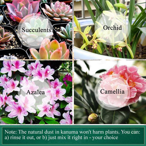 NOHOBE Kanuma soil for hydroponics as a natural medium
