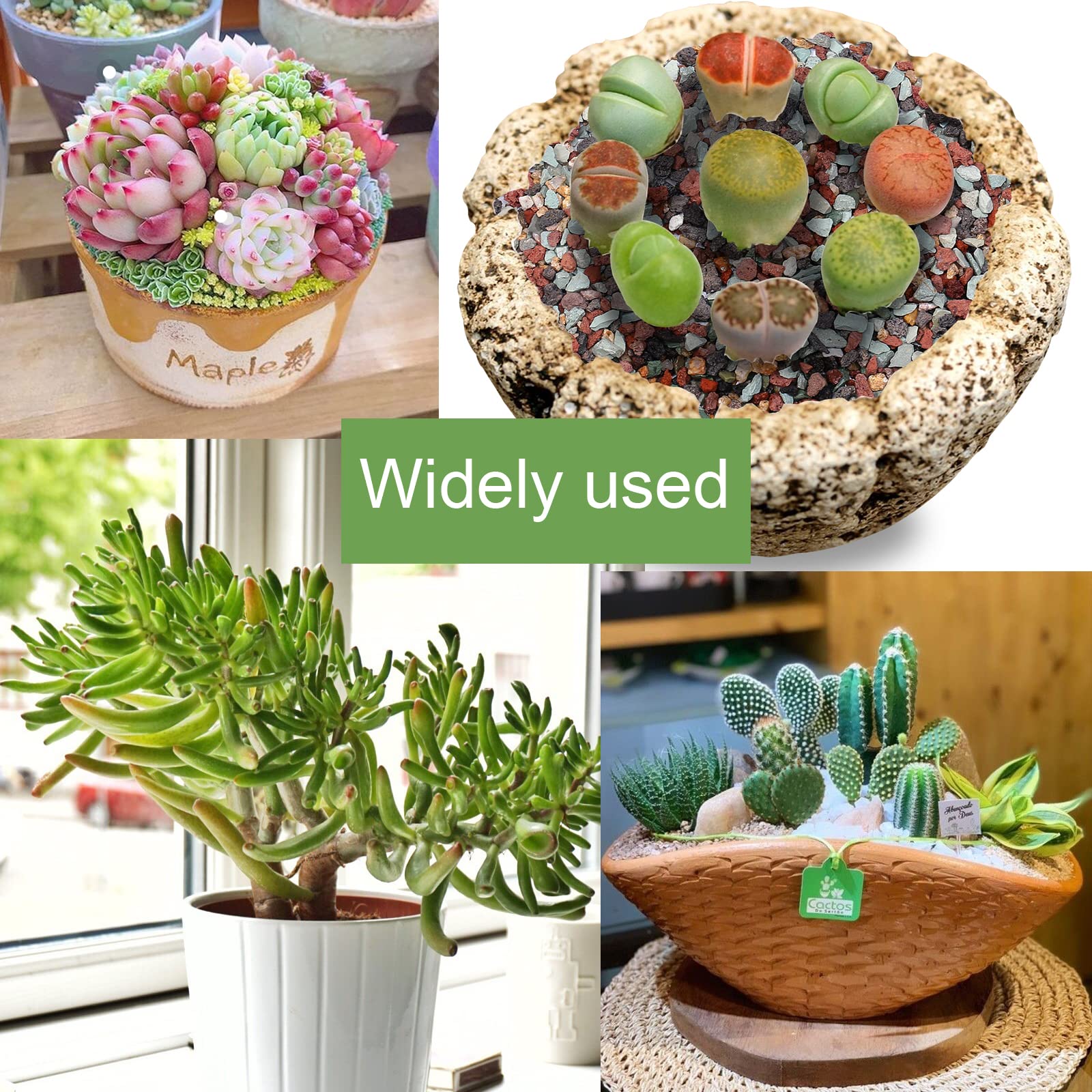 NOHOBE decorative stones arranged in a terrarium show vibrant color accents