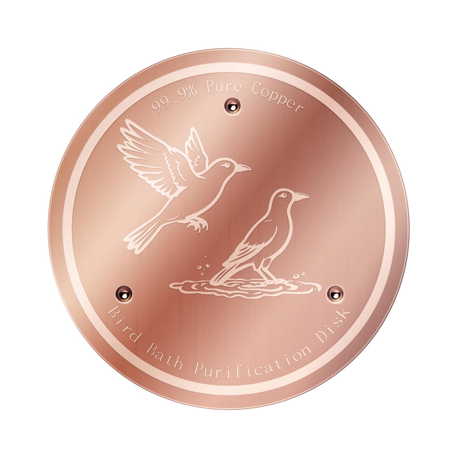NOKOXIN Bird Bath Copper Disk keeps water clearer through copper purification.