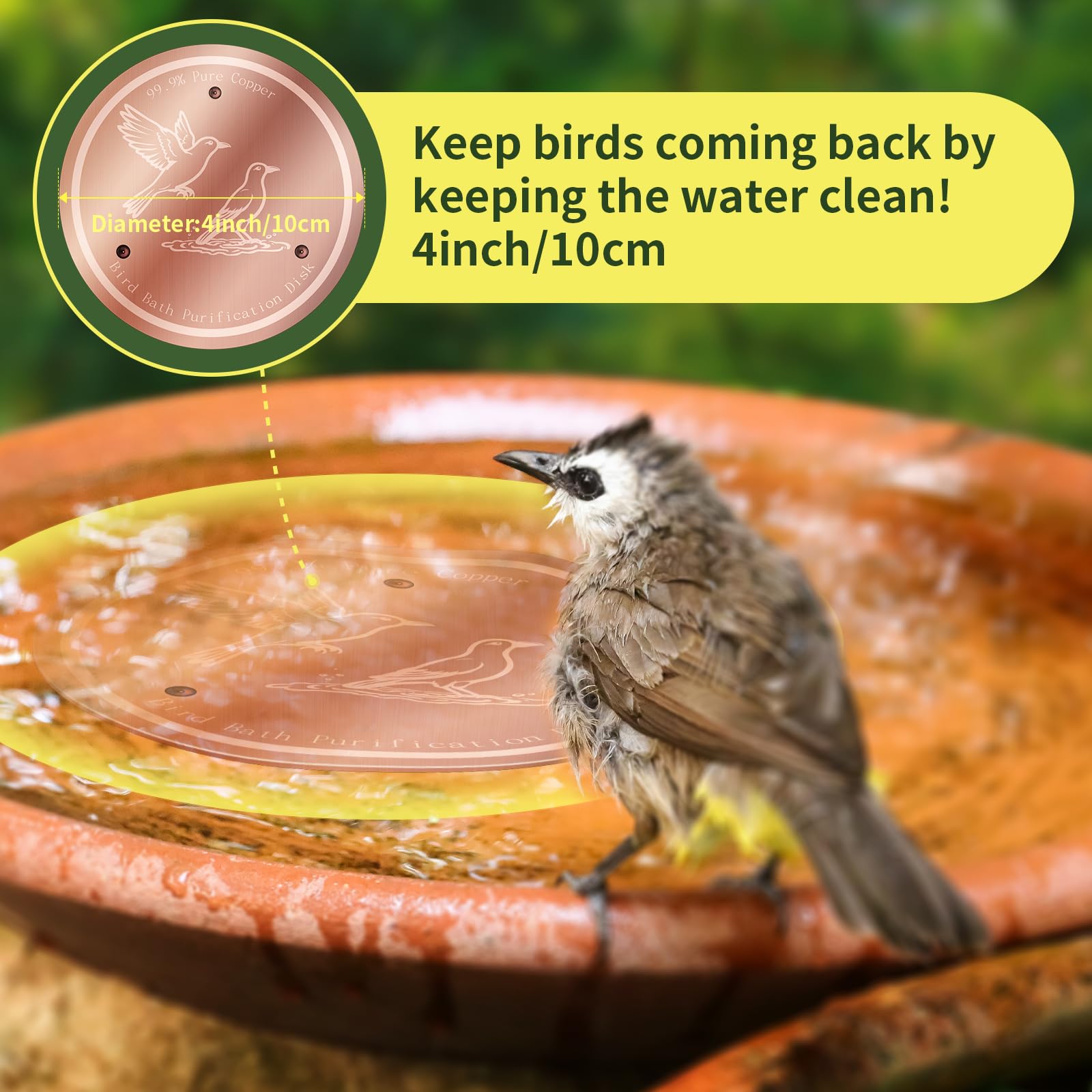 NOKOXIN Universal Fit works with most bird baths for easy setup.