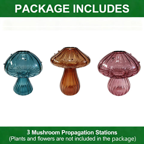 NOLIPED gift-ready mushroom planters are perfect for plant lovers.