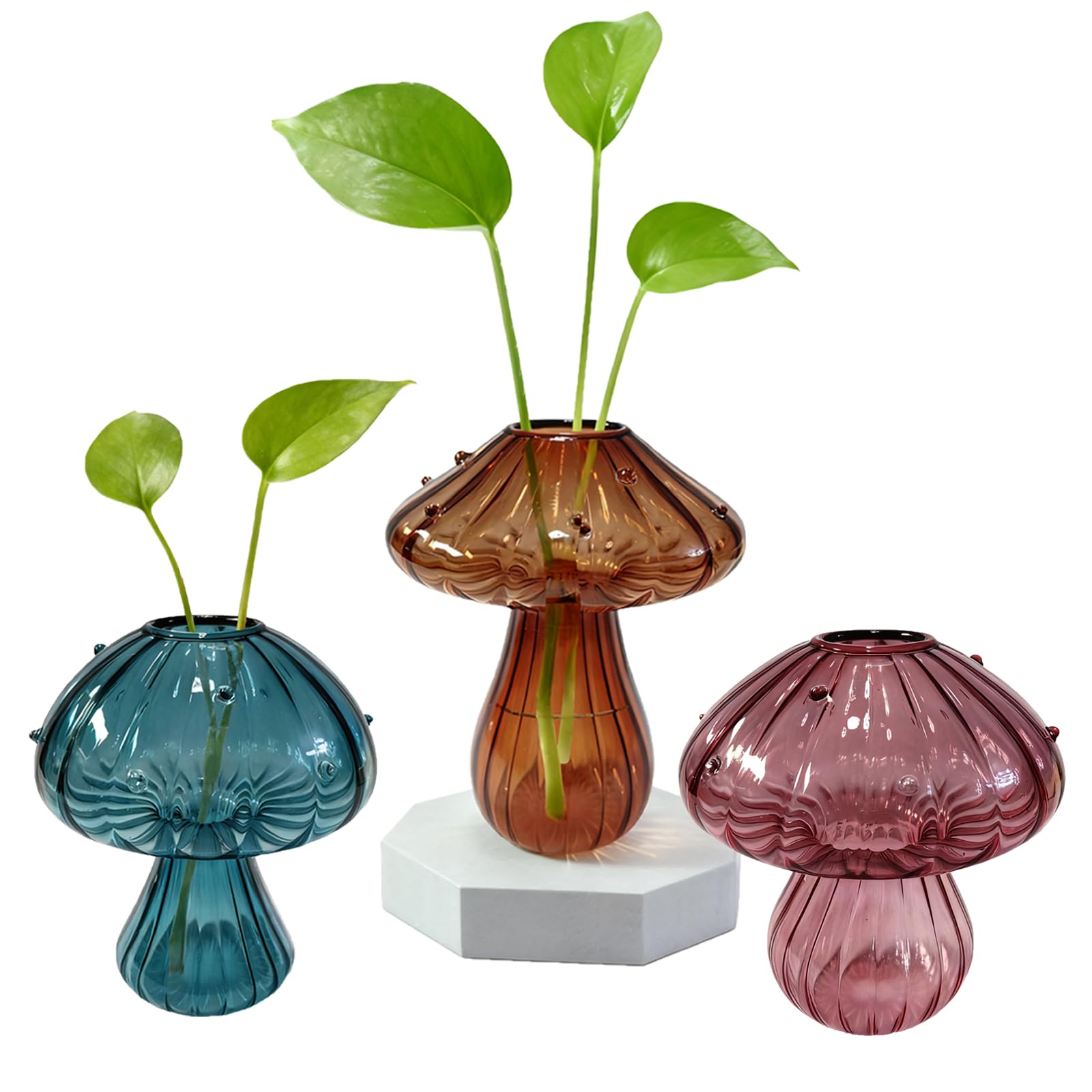 NOLIPED thickened glass mushroom vase shows roots clearly for observation.