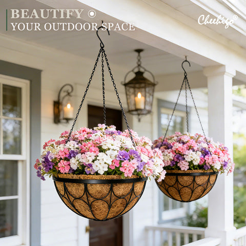Nongcunren four-pack shown ready for outdoor arrangements and seasonal plantings.