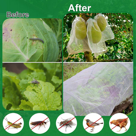 NONMON Netting shields cabbages and tomatoes from birds and small animals.
