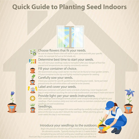 nooelec seeds india maximilian seeds ready to sow in well-drained soil