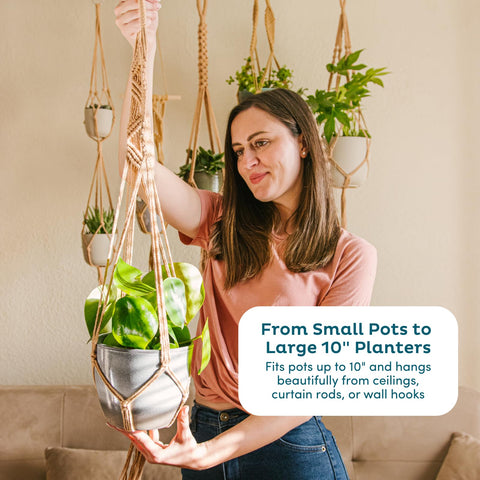 Nook Theory cream macrame plant hangers showcasing craftsmanship and knot detailing