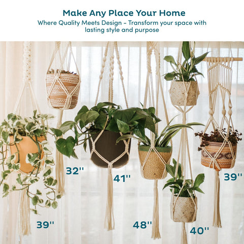 Nook Theory cream macrame plant hangers supporting a stable indoor garden