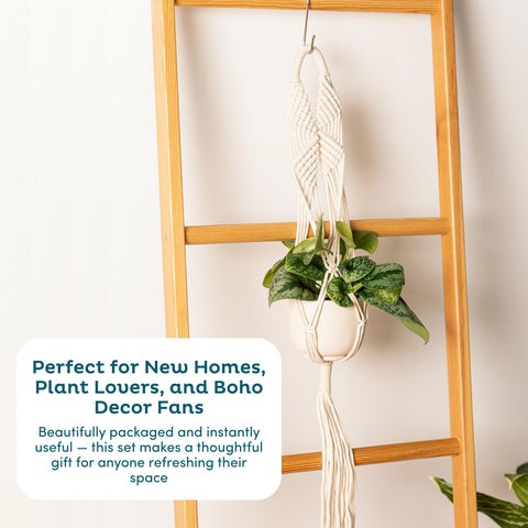 Nook Theory four-hanger set arranged for varied plant heights and spaces