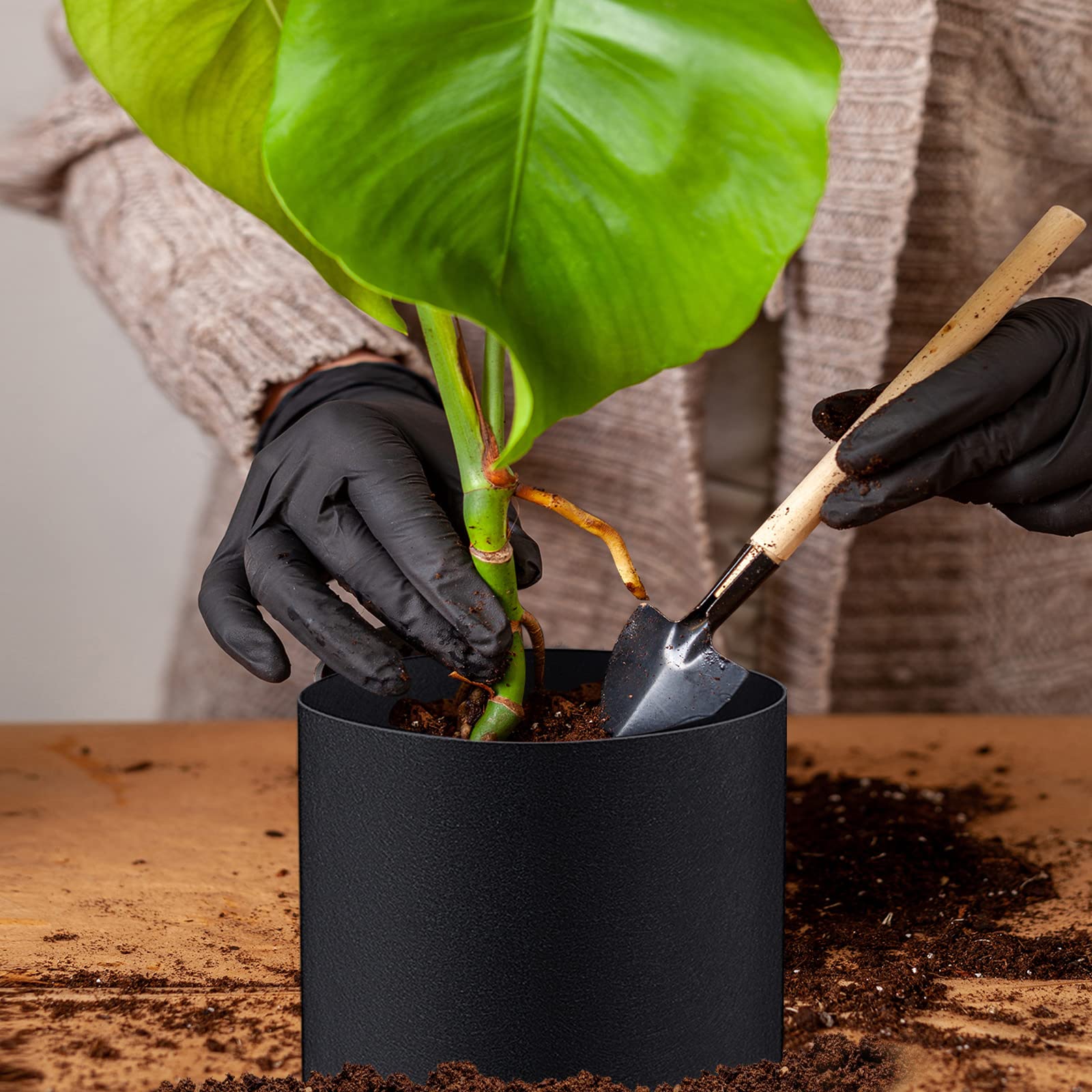 Norme terrestrial and aquatic pots positioned near pond edge for versatile planting