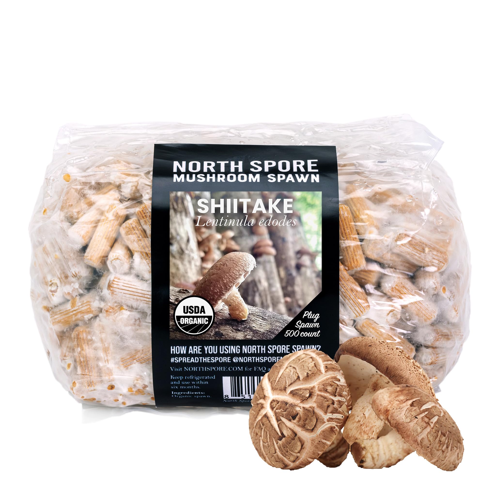 North Spore shiitake plugs for logs enable outdoor inoculation.