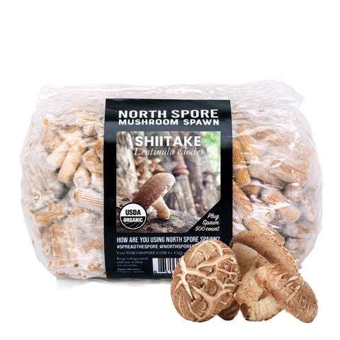 North Spore shiitake plugs for logs enable outdoor inoculation.