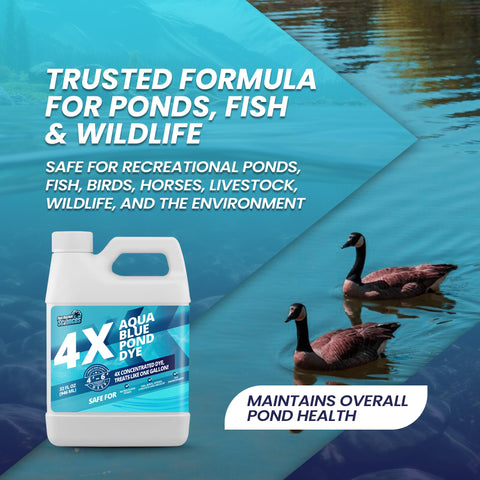 Not Rocket Sciences Aqua Blue Pond Dye provides a protective barrier against sunlight.