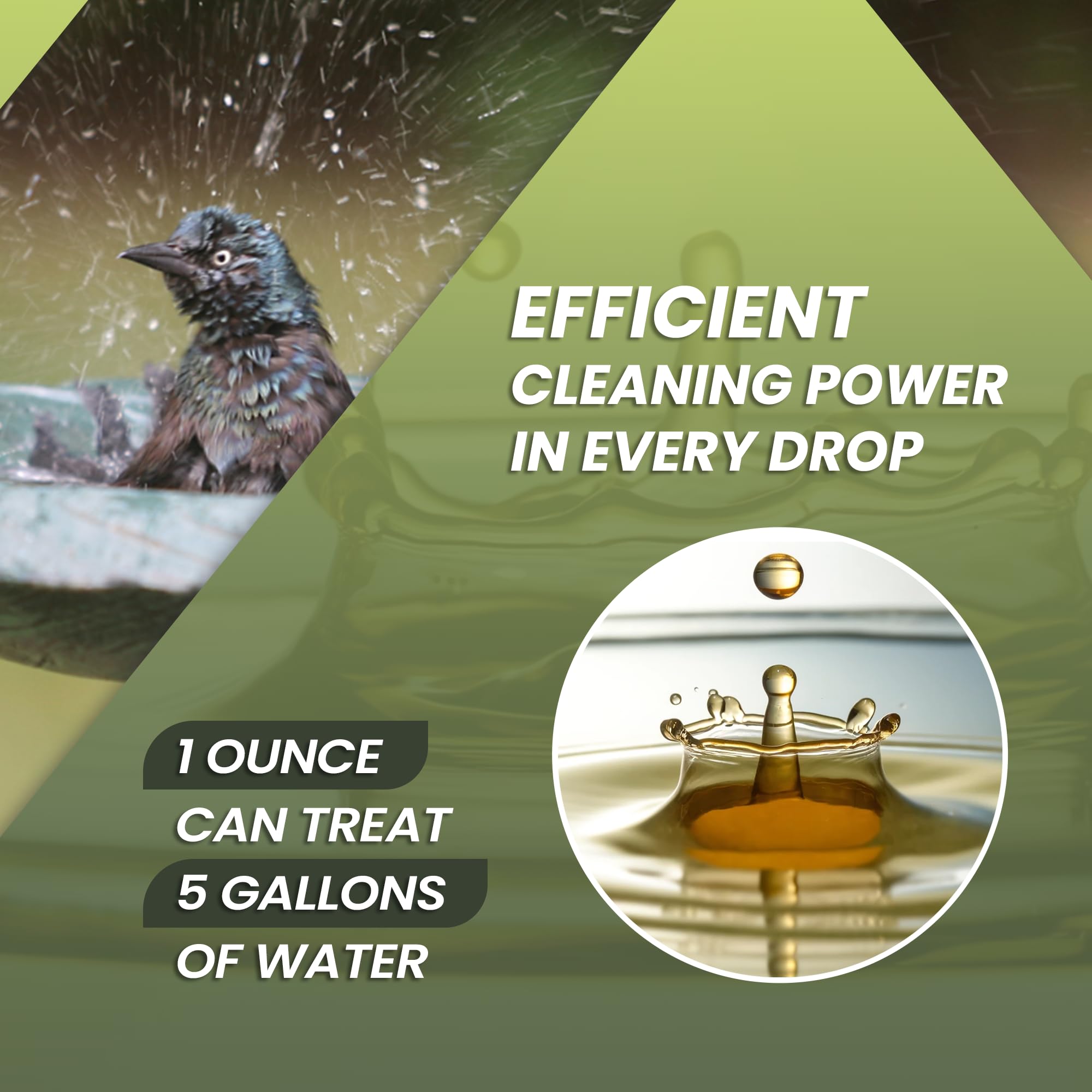 Not Rocket Sciences outdoor water treatment supports reduced organic buildup in ponds and bird baths.