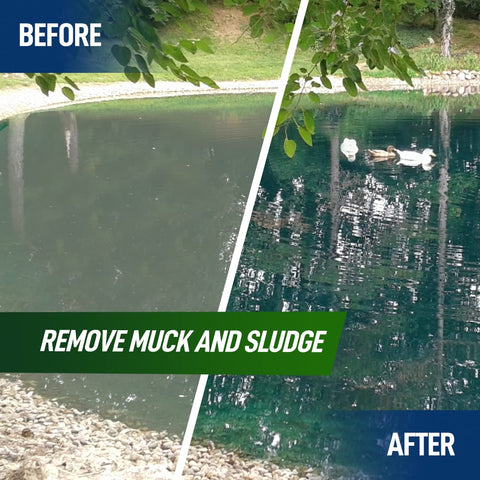 Not Rocket Sciences pond cleaner enzyme action illustrating muck breakdown for clearer water