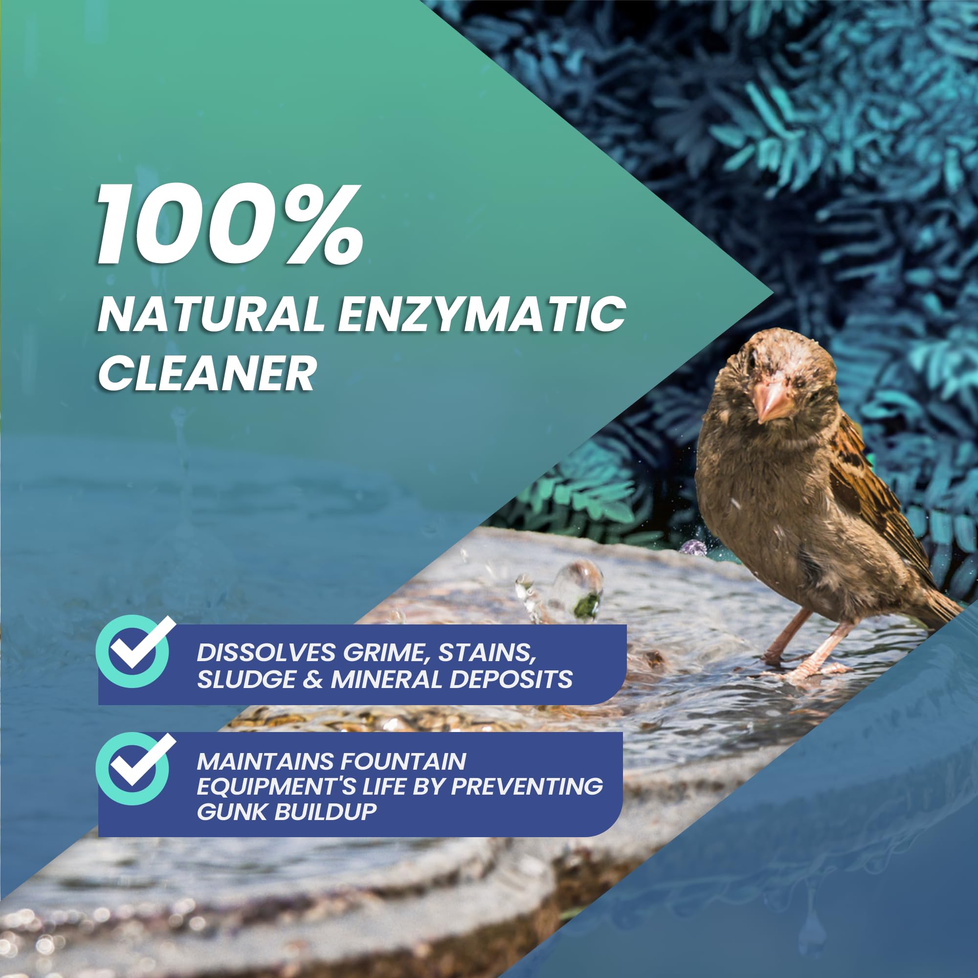 Not Rocket Sciences Water Fountain Cleaner bird-bath readiness ensures clean, safe water.