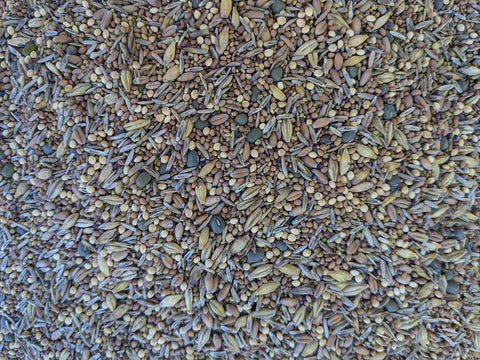 Not-Till Solutions clover-millet-alfalfa grains mix for diverse poultry nutrition