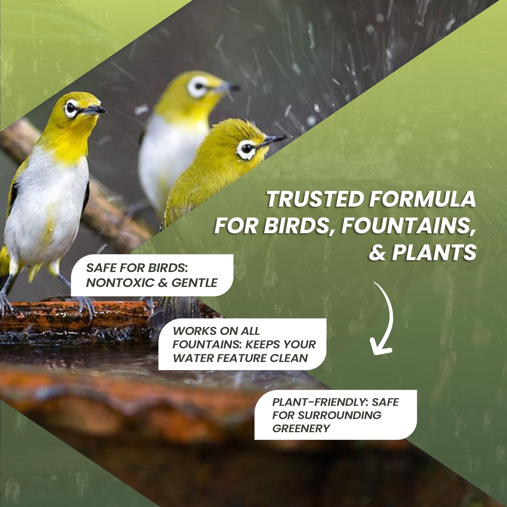 Not Rocket Sciences Safe for Birds illustration shows non-toxic formula for wildlife.