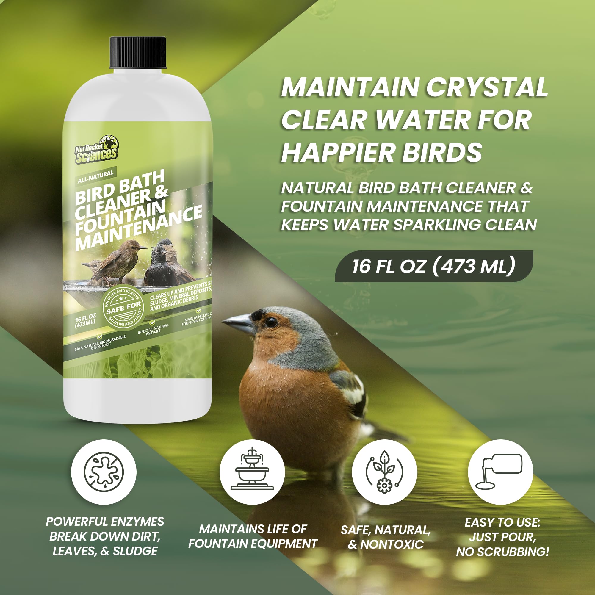Not Rocket Sciences Water Clarity Bird Fountain image highlighting crystal-clear water for birds.