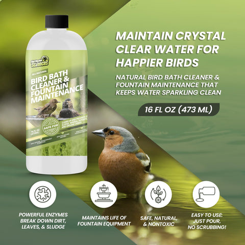 Not Rocket Sciences Water Clarity Bird Fountain image highlighting crystal-clear water for birds.