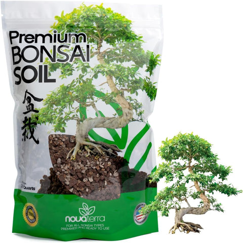 Nova-TERRA bonsai soil mix ready to use in a pot for easy planting.