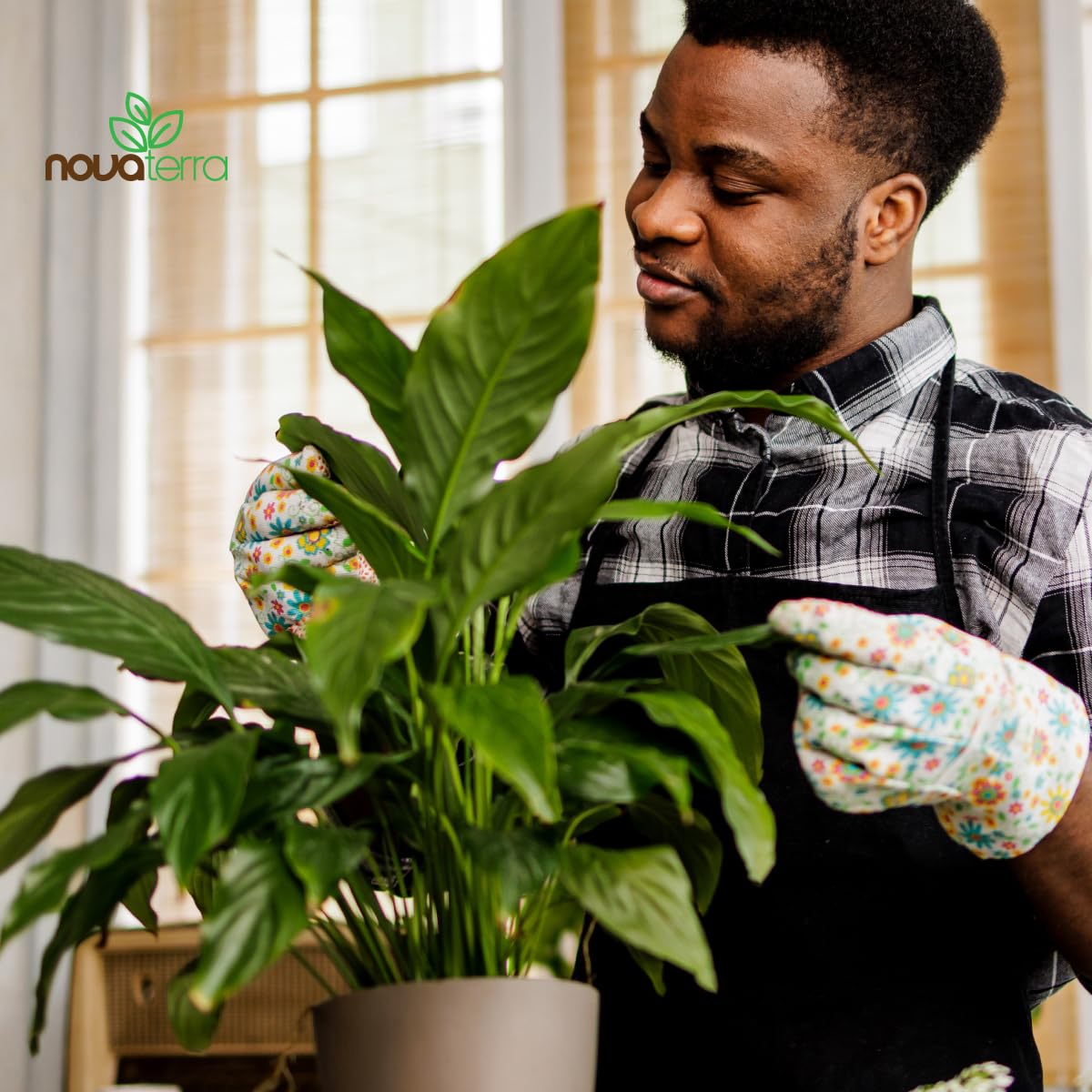 Nova-TERRA fertilizer pellets included inside the bag for potential growth.
