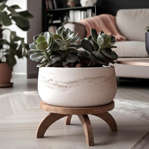 Novabright burnt-wood texture pedestal adds warm rustic charm.