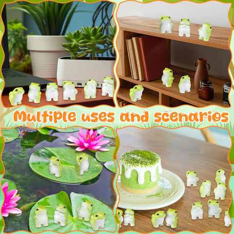 Novabright frog scratching itself pairs with prizes and party decor.