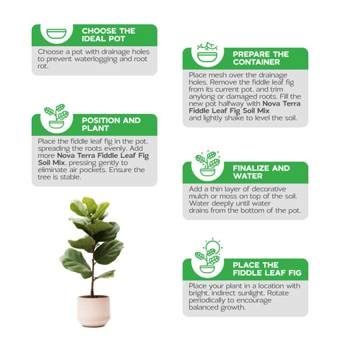 NOVA-TERRA 2-4-quart mix fits standard indoor pots.