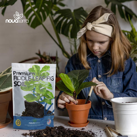 NOVA-TERRA fertilizer pellets inside provide convenient plant nutrition.