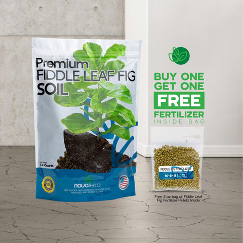 NOVA-TERRA perlite drainage improves air and moisture balance for healthy roots.
