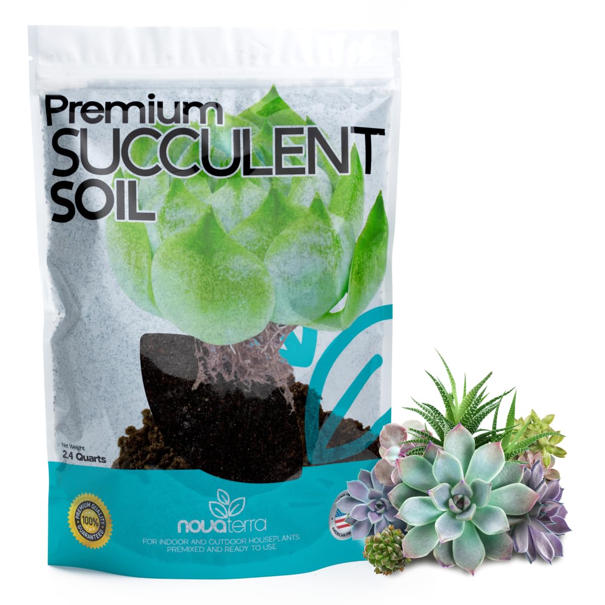 NOVA-TERRA succulent potting mix bag ready for indoor succulents and planters