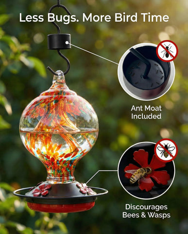 Novoto hummingbird feeder hanging outdoors adds charm to patios and simplifies setup
