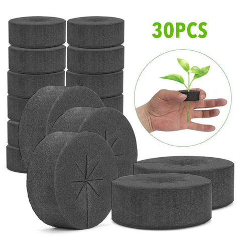 NOWHYX clone collars enable hydroponic germination in DIY boxes.