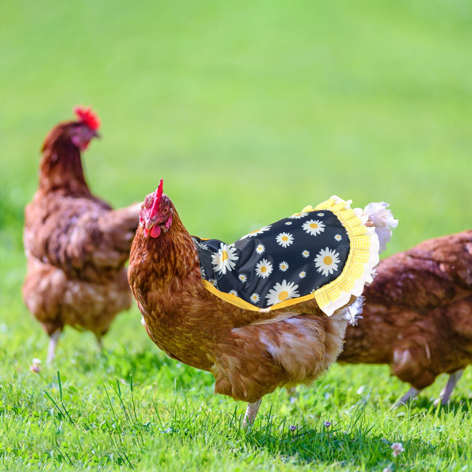 NQEUEPN washable and reusable hen jacket for quick cleaning.