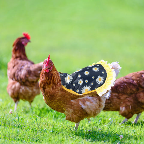 NQEUEPN washable and reusable hen jacket for quick cleaning.