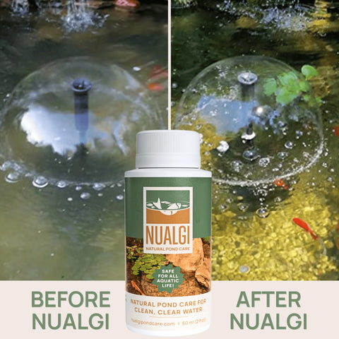 Nualgi Pond Care Treats boosts dissolved oxygen for healthier fish.