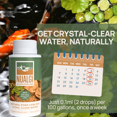 Nualgi Pond Care Treats are safe for fish, turtles, and other aquatic life.