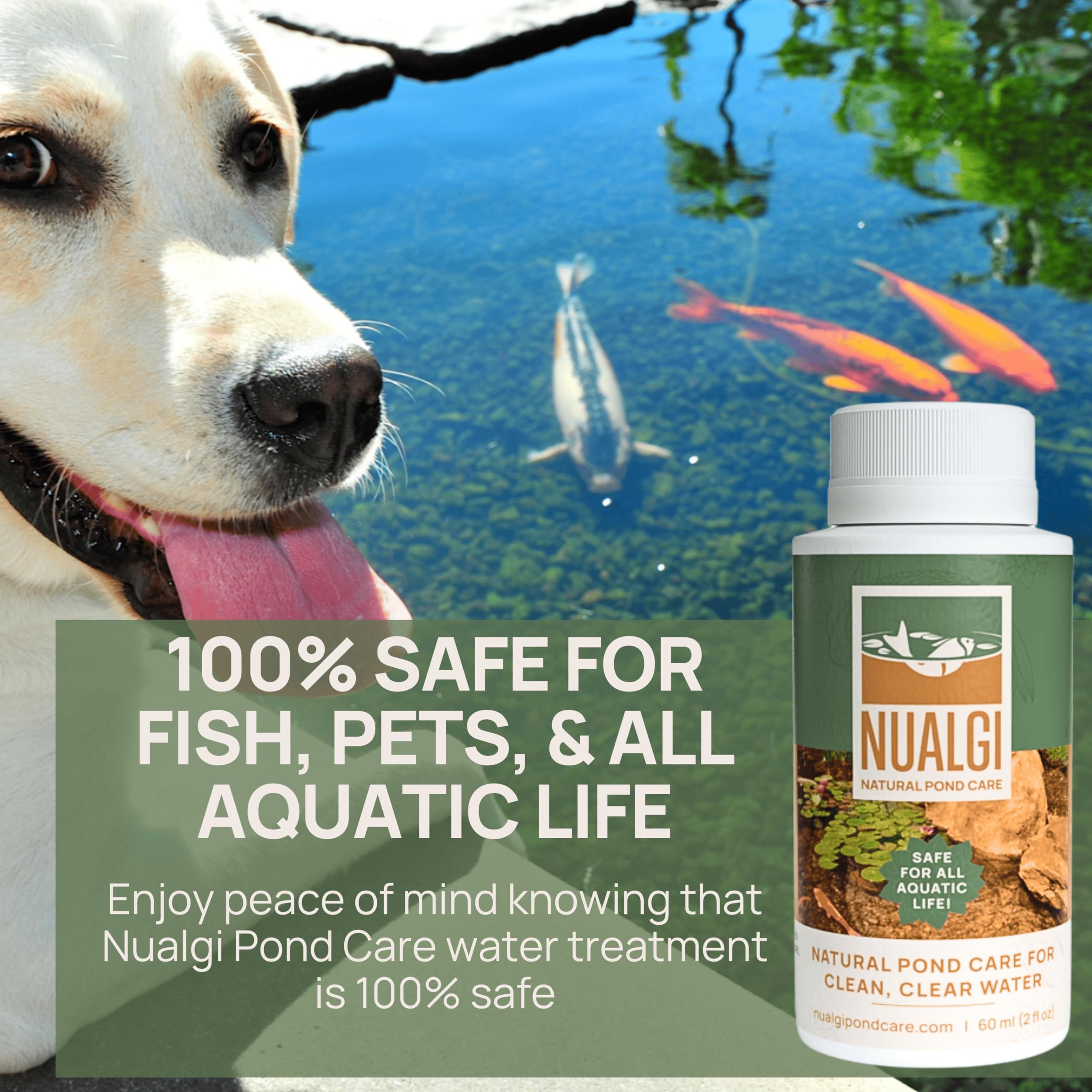 Nualgi Pond Care Treats accelerates waste digestion and reduces odors.