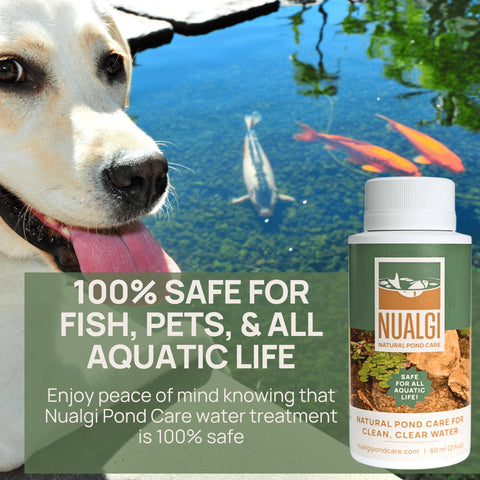 Nualgi Pond Care Treats accelerates waste digestion and reduces odors.