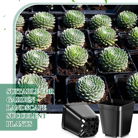 Nuanchu 2-inch top diameter seedling pots fit on compact shelves
