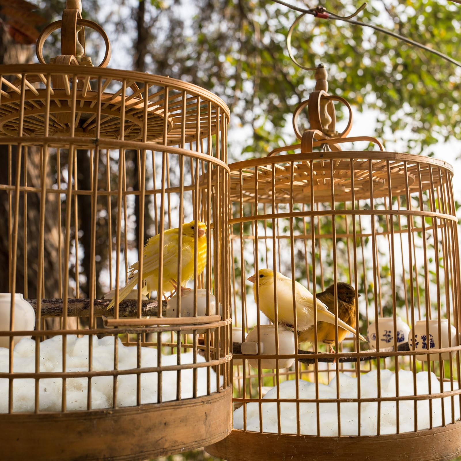 Nuanchu 3-pack bird nest materials support seasonal nesting and gifting