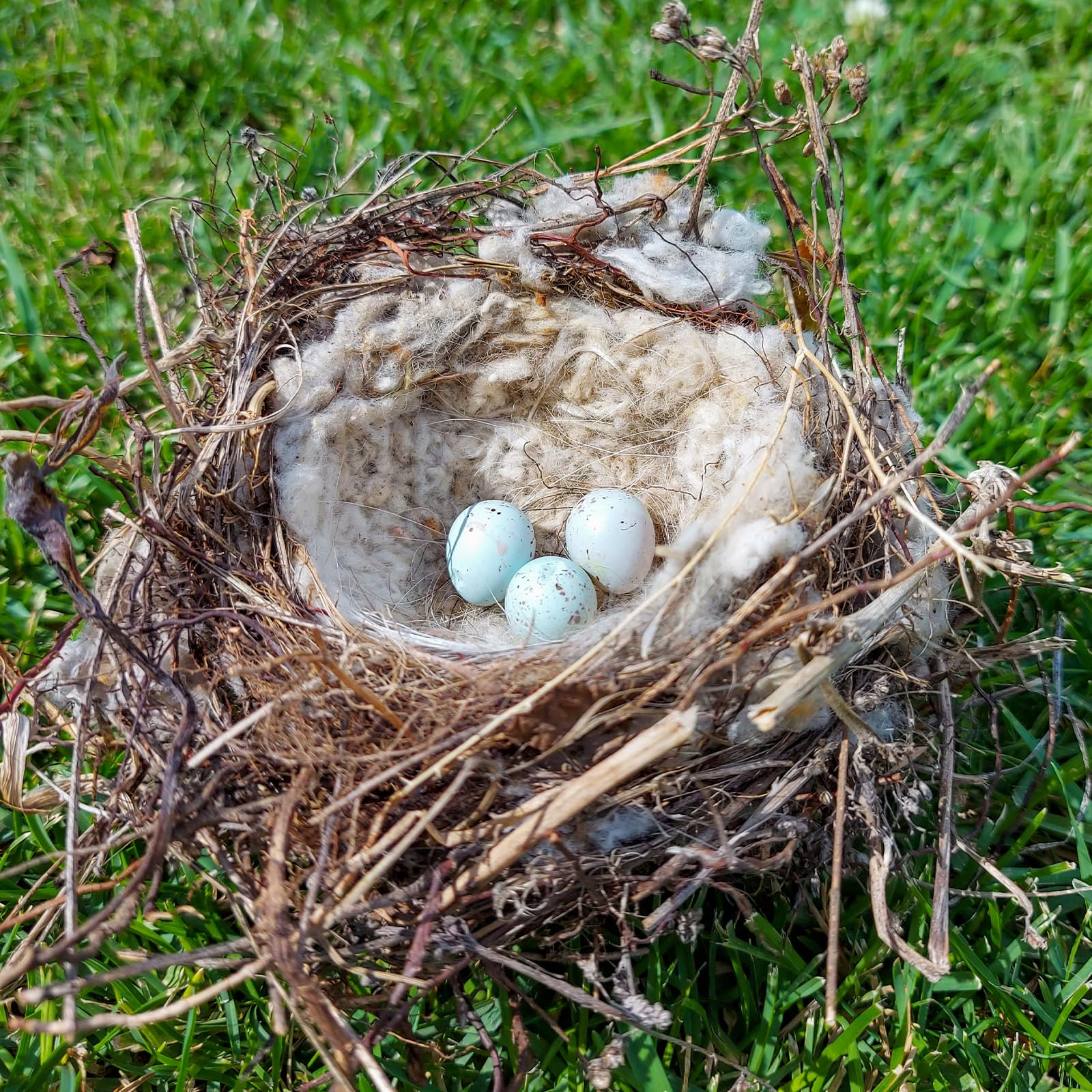 Nuanchu bird nesting cotton delivers soft, plush comfort for nesting
