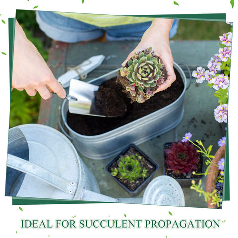 Nuanchu black plastic seedling pots designed for durable use