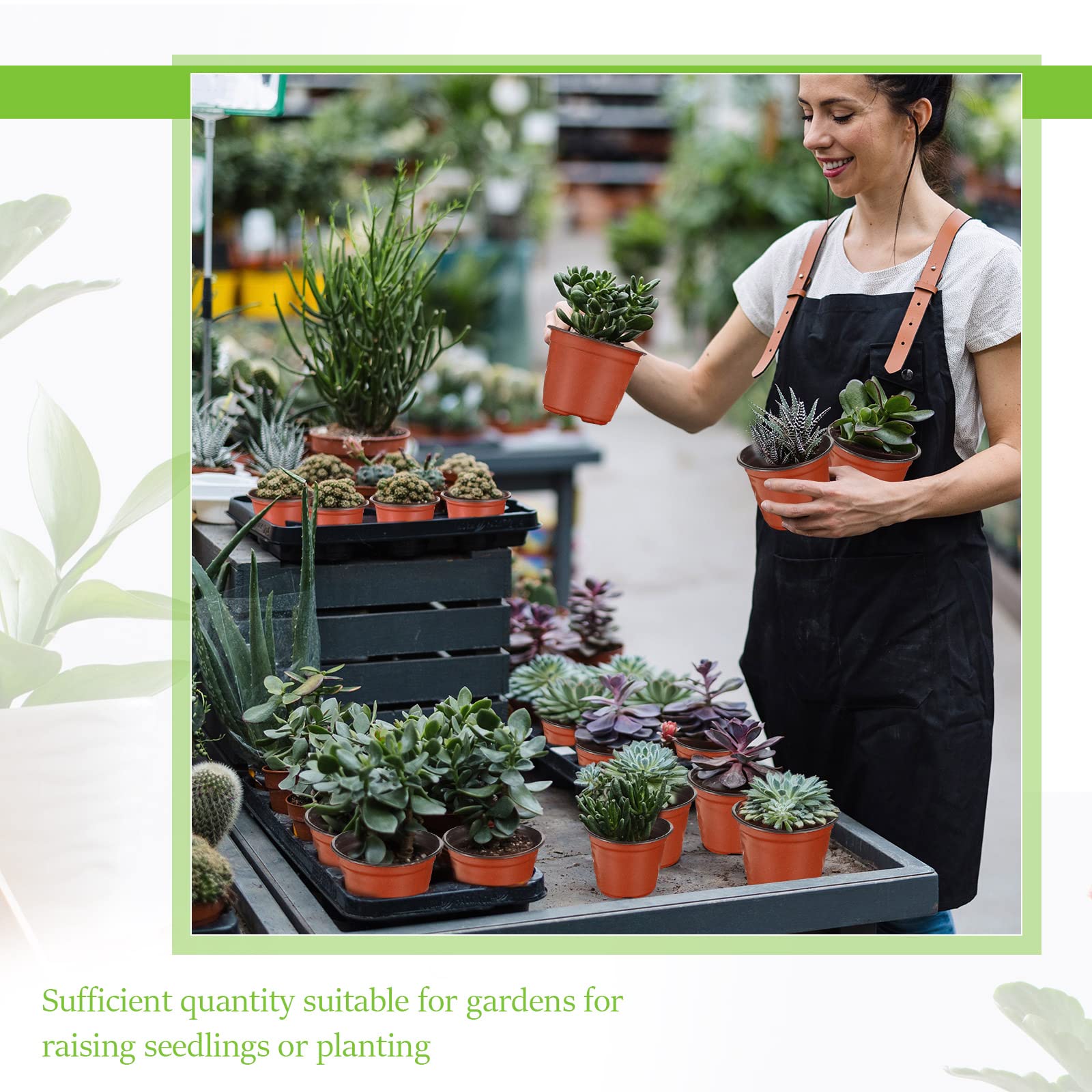 Nuanchu compact seedling pot suitable for succulents and herbs.