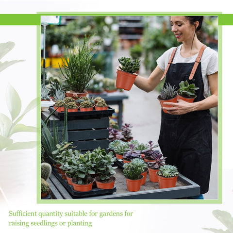 Nuanchu compact seedling pot suitable for succulents and herbs.