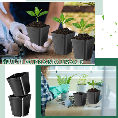 Nuanchu pots with drainage holes supporting healthy seedling growth