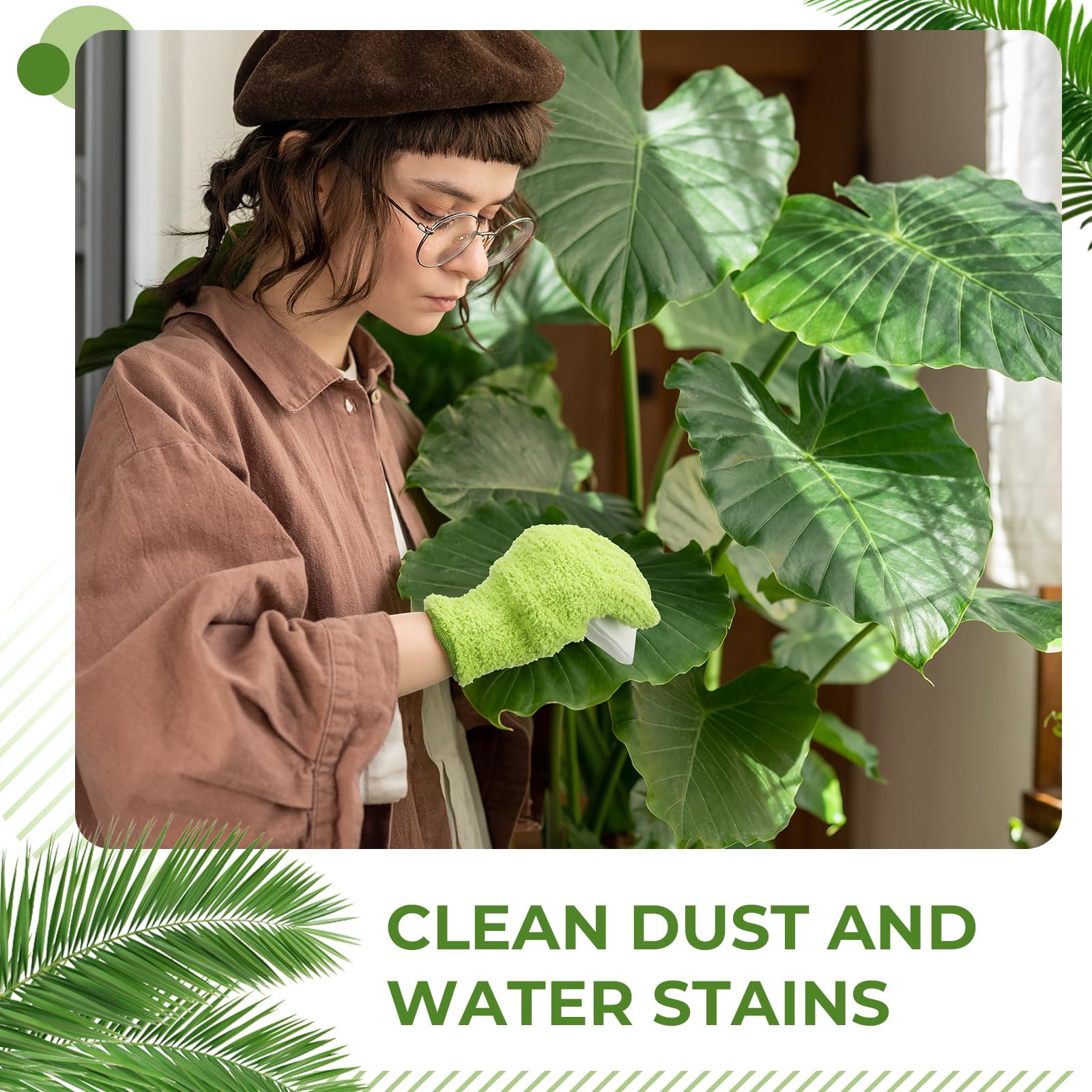 Nuanchu indoor-outdoor plant cleaning in use for better leaf polish