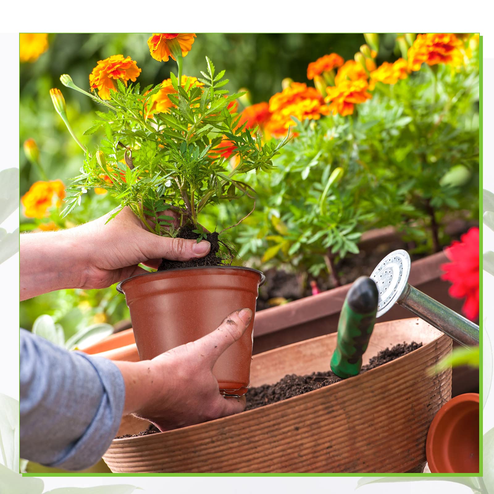 Nuanchu plant pots for outdoor and indoor planting with versatile seedling use.
